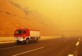 Число жертв лесных пожаров в Греции возросло до 50
