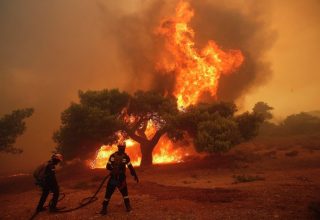 24 человека погибли в результате лесных пожаров в Греции