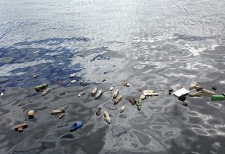 К середине этого века пластика в океане может стать больше, чем рыбы