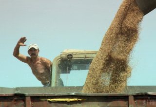 Средняя зарплата украинских аграриев выросла на 25%
