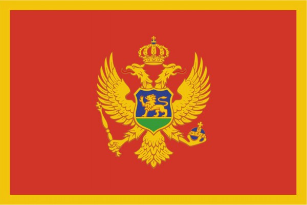 Черногория поддержала Гуайдо в качестве временного президента Венесуэлы