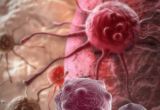 Международная группа ученых выявила новую, ранее неизвестную причину появления рака