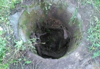 Тело бизнесмена из Грузии обнаружили в колодце в Киевской области