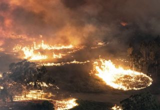 Австралия отказалась от помощи Украины в тушении лесных пожаров