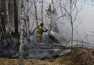 В Чернобыльской зоне вновь вспыхнул лесной пожар