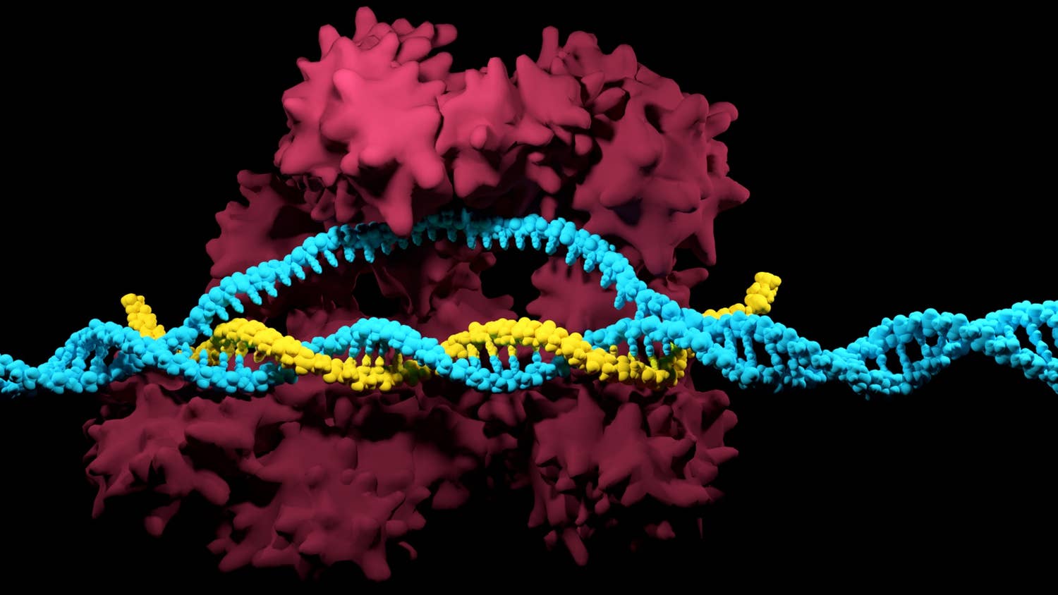 Нобелевская премия за изменение ДНК