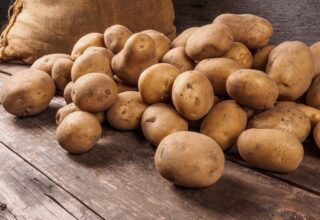 Стало известно, почему в Украине поднимаются цены на картофель
