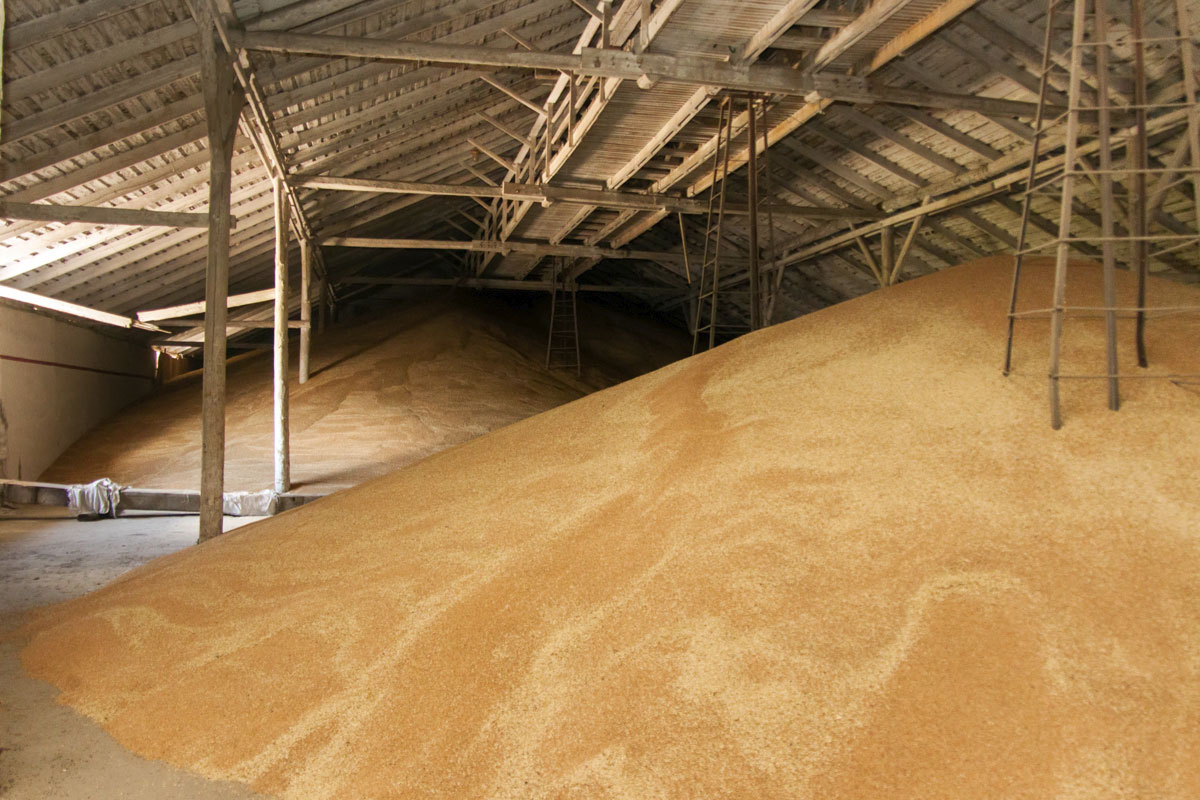 Директора филиала Госрезерва подозревают в растрате зерна на на сумму более 2,8 миллиона гривен