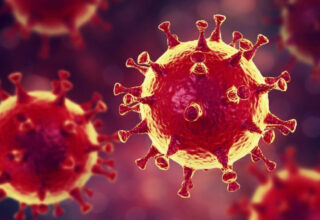Стали известны возможные причины мутации коронавируса