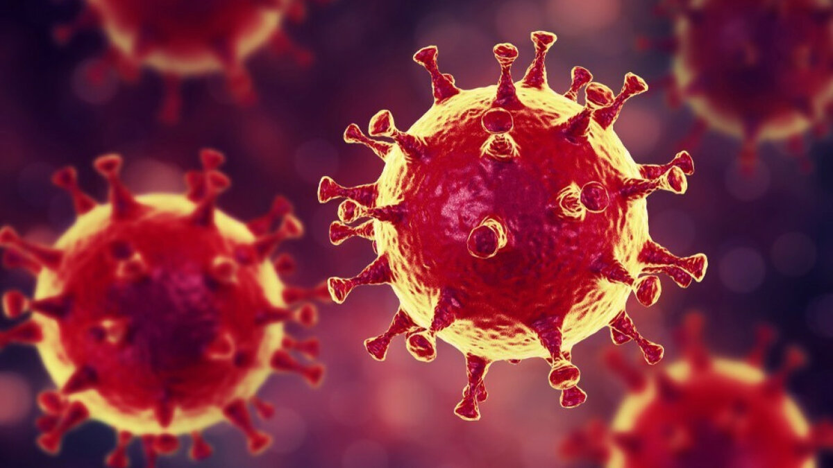 Стали известны возможные причины мутации коронавируса