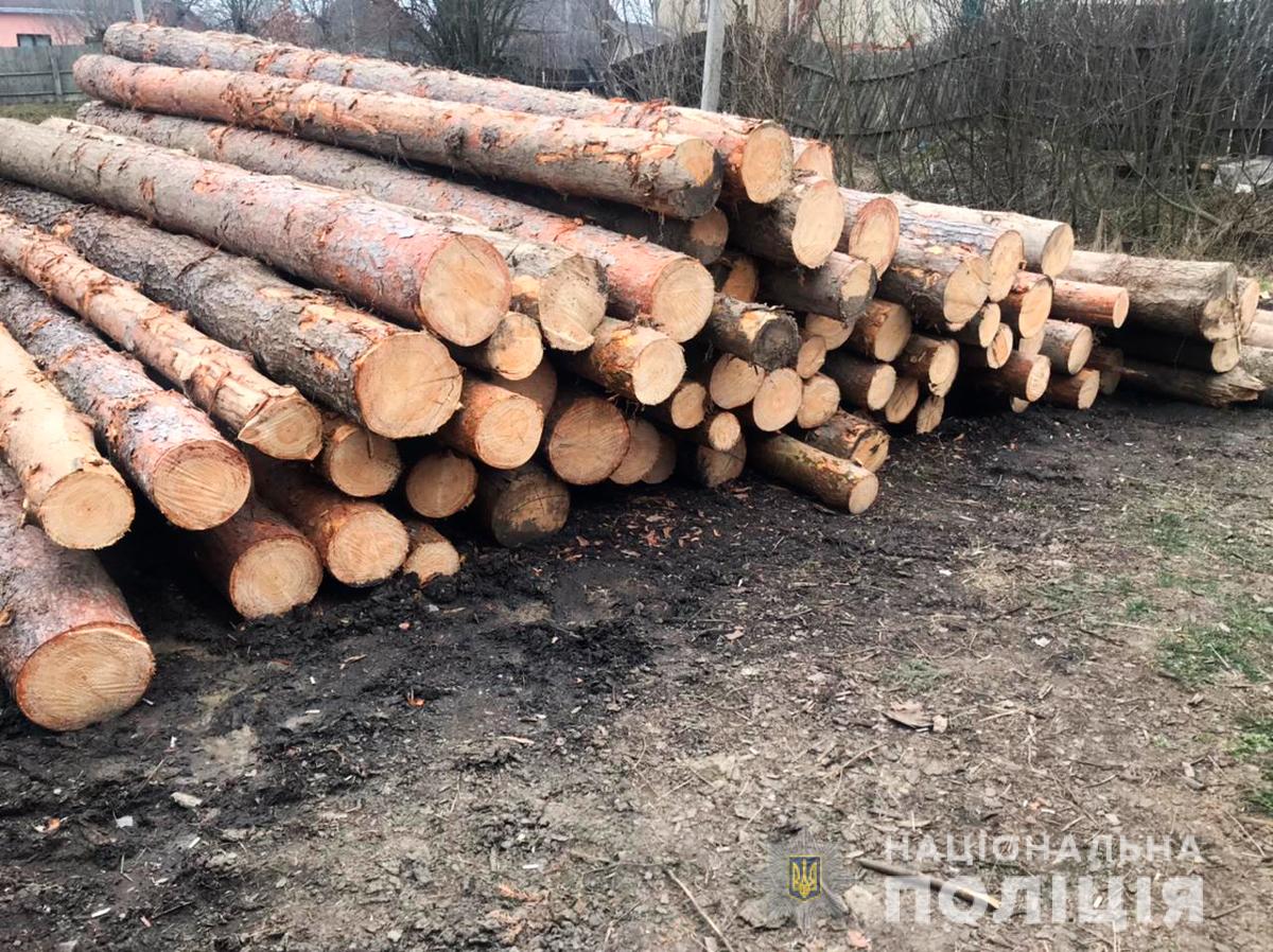 На Буковине полицейские разоблачили группу лиц, которые занимались незаконной вырубкой деревьев ценных пород