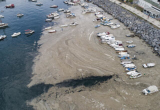 Побережье Стамбула покрыто большим количеством морской слизи и пены