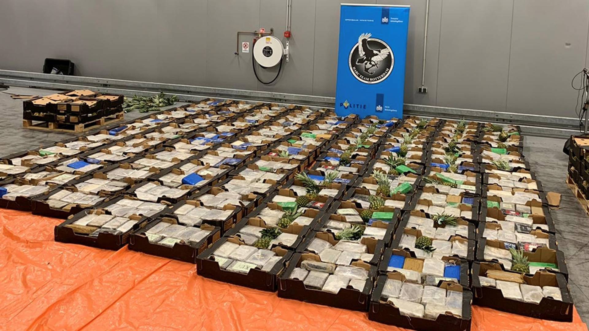 В порту Роттердама таможенники обнаружили более 1500 килограммов кокаина