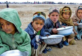 В ООН заявили об угрозе голода в Афганистане