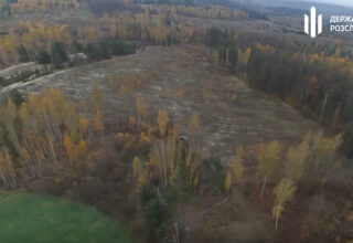 В Киевской области разоблачена незаконная вырубка леса, повлекшая за собой убытки государству на сумму почти в 15 млн грн