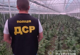 В Кривом Роге полиция обнаружила плантации конопли общей стоимостью в 130 миллионов гривен