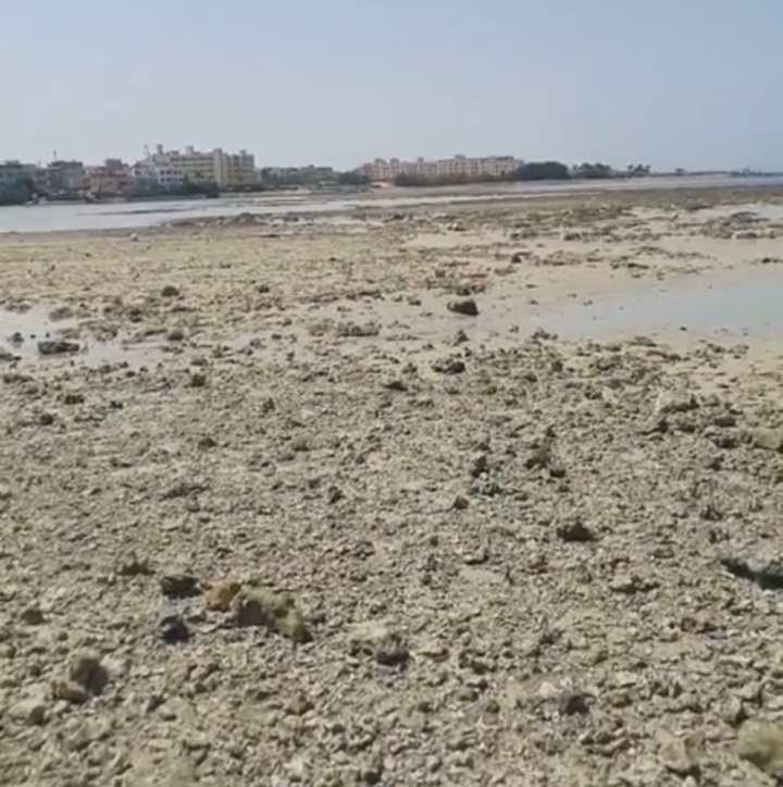 В Хургаде произошёл резкий уход воды, что повлекло за собой оголение дна пляжей