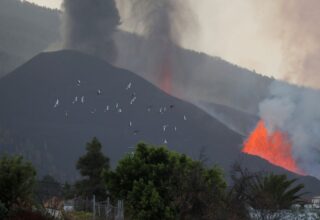 Остров Ла-Пальма объявили зоной стихийного бедствия