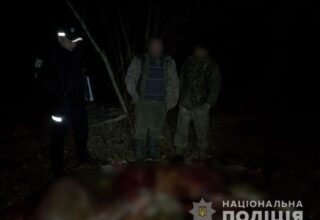 В Черниговской области браконьер убивший лося умер во время погони от полиции