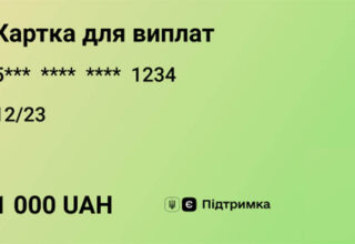 Кабмин уполномочил Минцифры блокировать платежи по программе «еПоддержка»