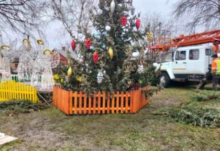 В Ровенской области ветер сломал новогоднюю ёлку