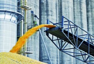 ЕС поможет Украине освободить хранилища с зерном для следующего урожая, — Боррель