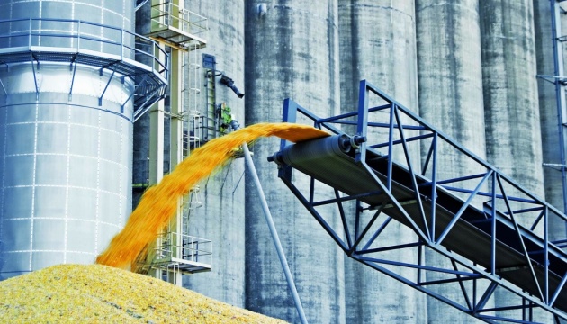 ЕС поможет Украине освободить хранилища с зерном для следующего урожая, — Боррель