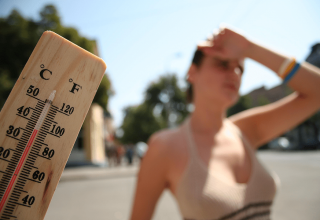 В Испании из-за аномальной жары за последнее время погибло 500 человек