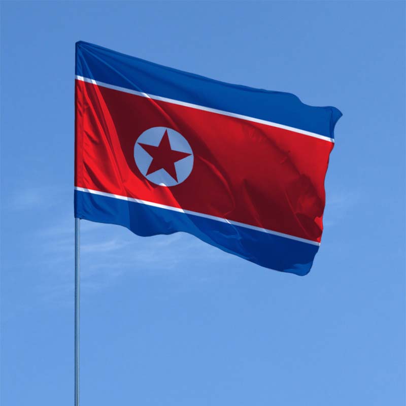 Северная Корея назвала Пелоси «разрушительницей международного мира»