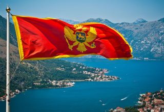 Правительство Черногории свергнуто парламентом