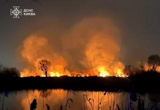 Пожар в заказнике «Осокорковские луга»