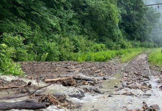 На железнодорожные пути в Закарпатье сошёл сель