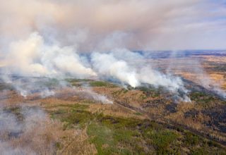 Пожежа у Чорнобильській зоні: мешканців області закликають зачинити вікна