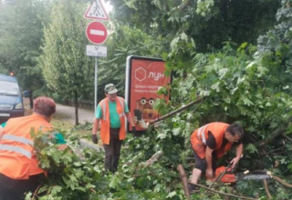 В Киеве из-за непогоды пострадали пятеро человек