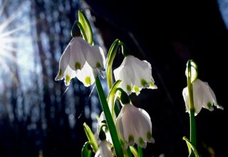 Потеплішає до +15°: яка погода на початку тижня