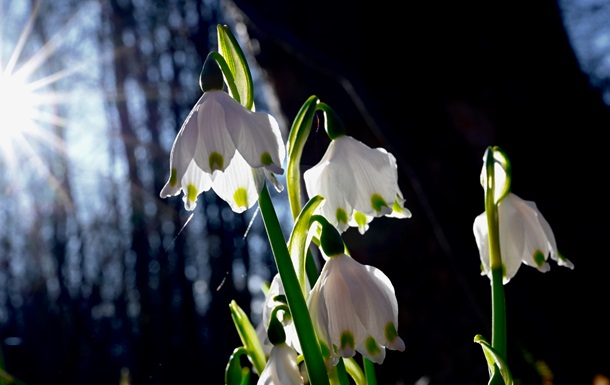 Потеплеет до +15°: какая ожидается погода в начале недели