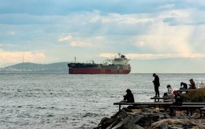 Индия закупила 60 млн баррелей российской нефти на апрель — СМИ