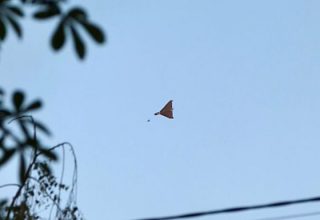 Російський дрон проник на територію Румунії