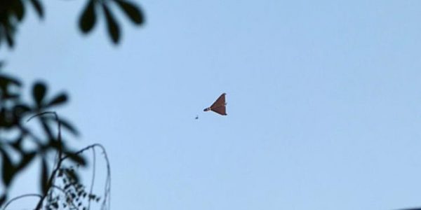 Русский дрон проник на территорию Румынии