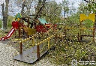 У Буковині дерева впали на дитячий майданчик: постраждали двоє дітей