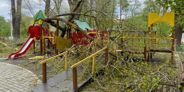 В Буковине деревья рухнули на детскую площадку: пострадали двое детей