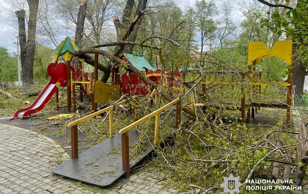 В Буковине деревья рухнули на детскую площадку: пострадали двое детей