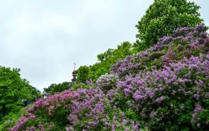 Синоптики обещают до +27° в начале недели