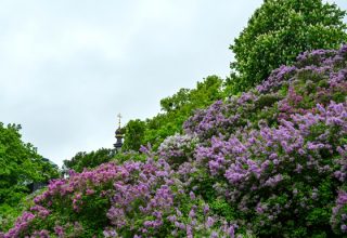 Синоптики обещают до +27° в начале недели