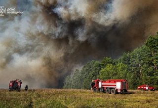 Площа загоряння на Чернігівщині досягла 5800 га